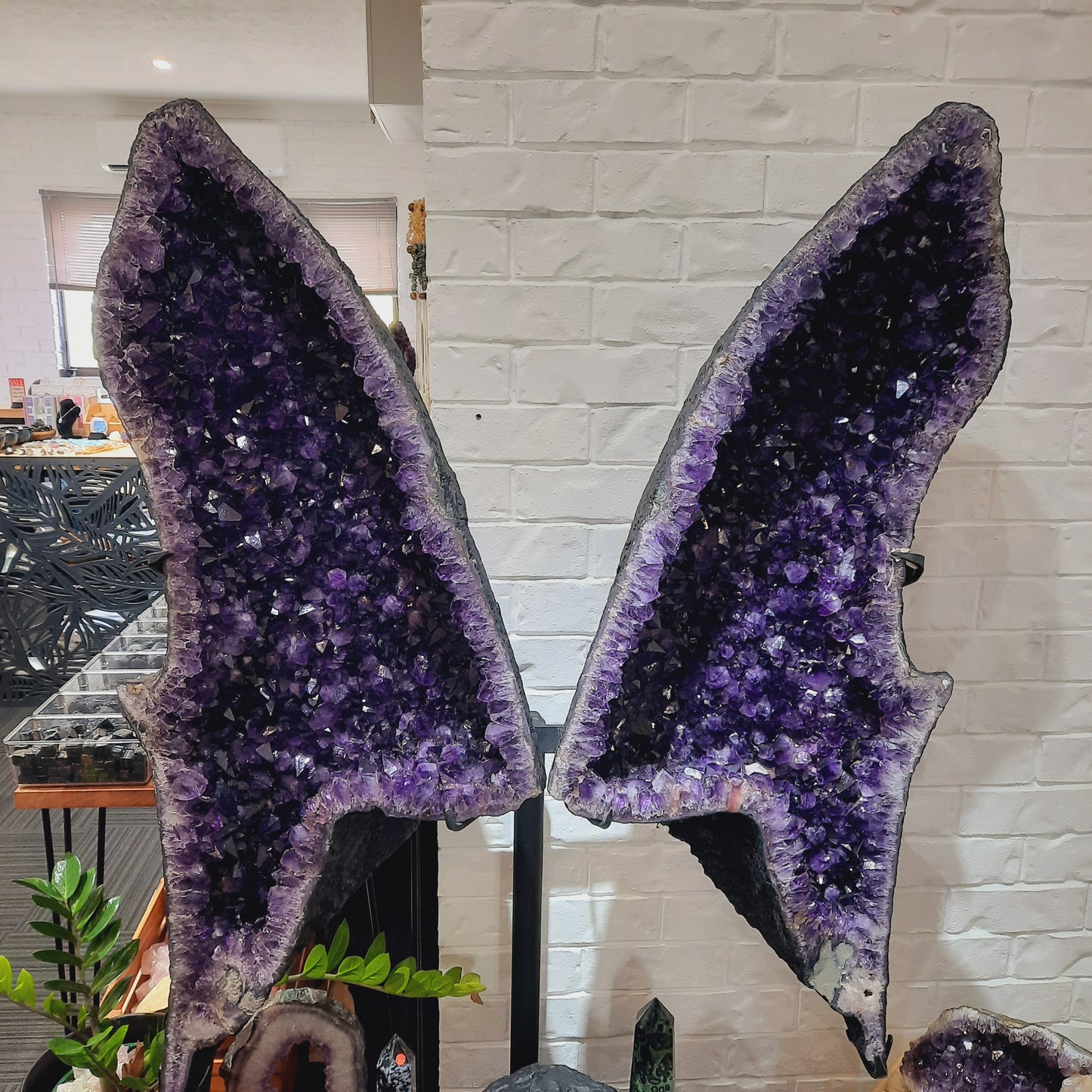 Amethyst Angel Wings (Instore Only)