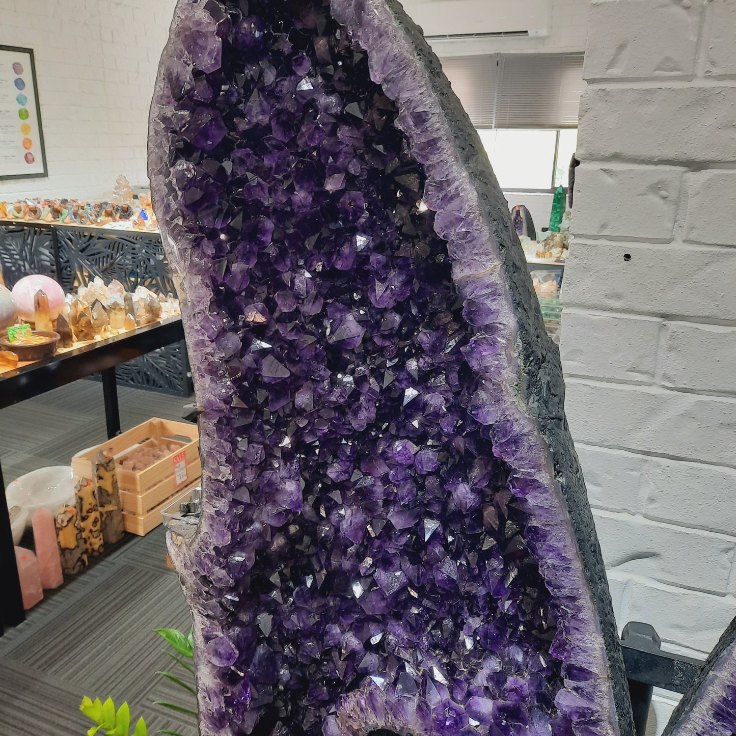 Amethyst Angel Wings (Instore Only)
