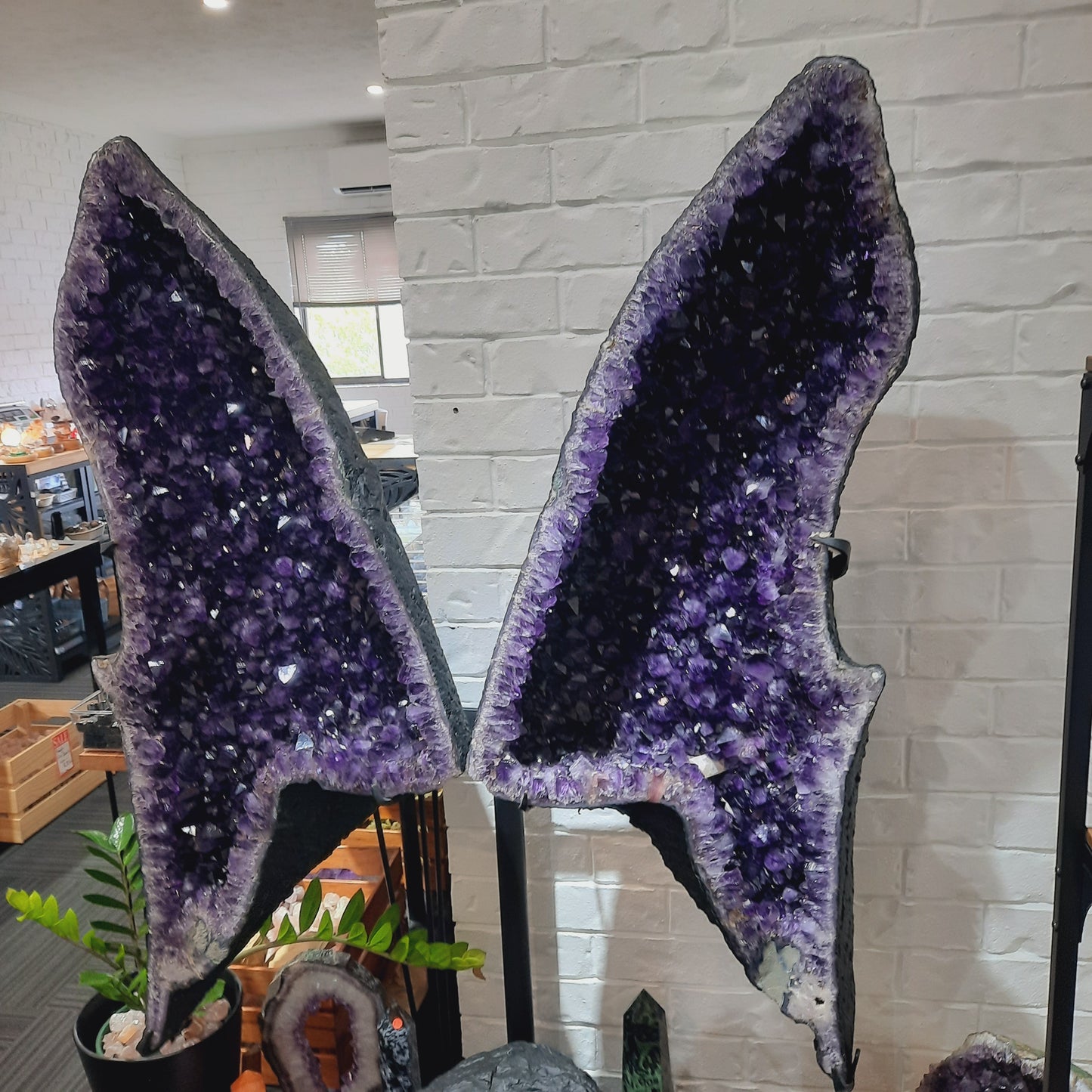 Amethyst Angel Wings (Instore Only)