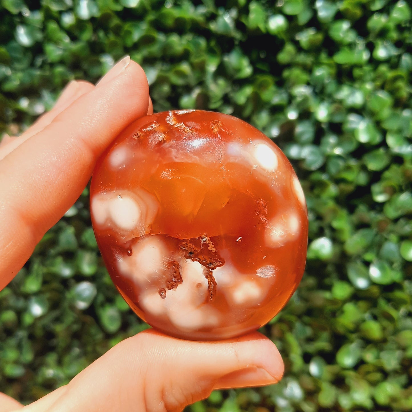 Carnelian Palm Stone's