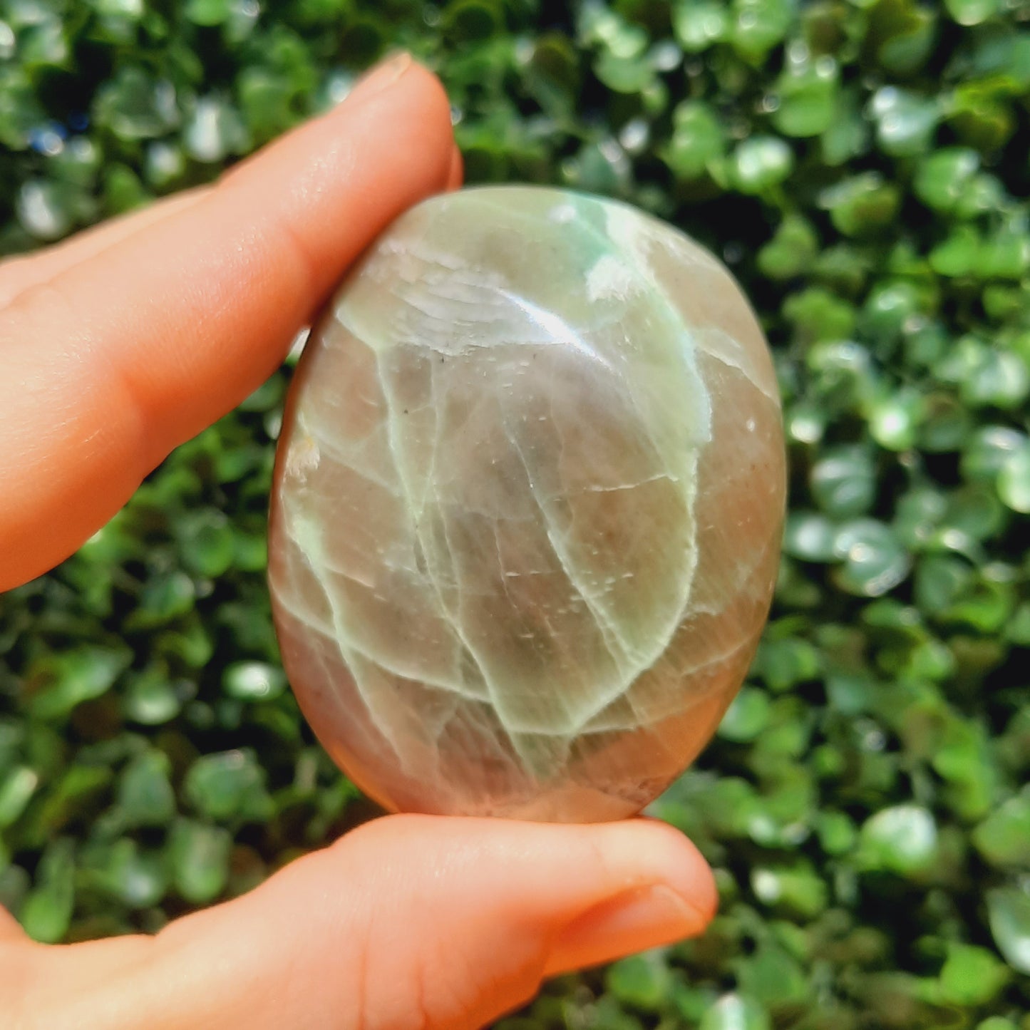 Green Moonstone Palm Stone's