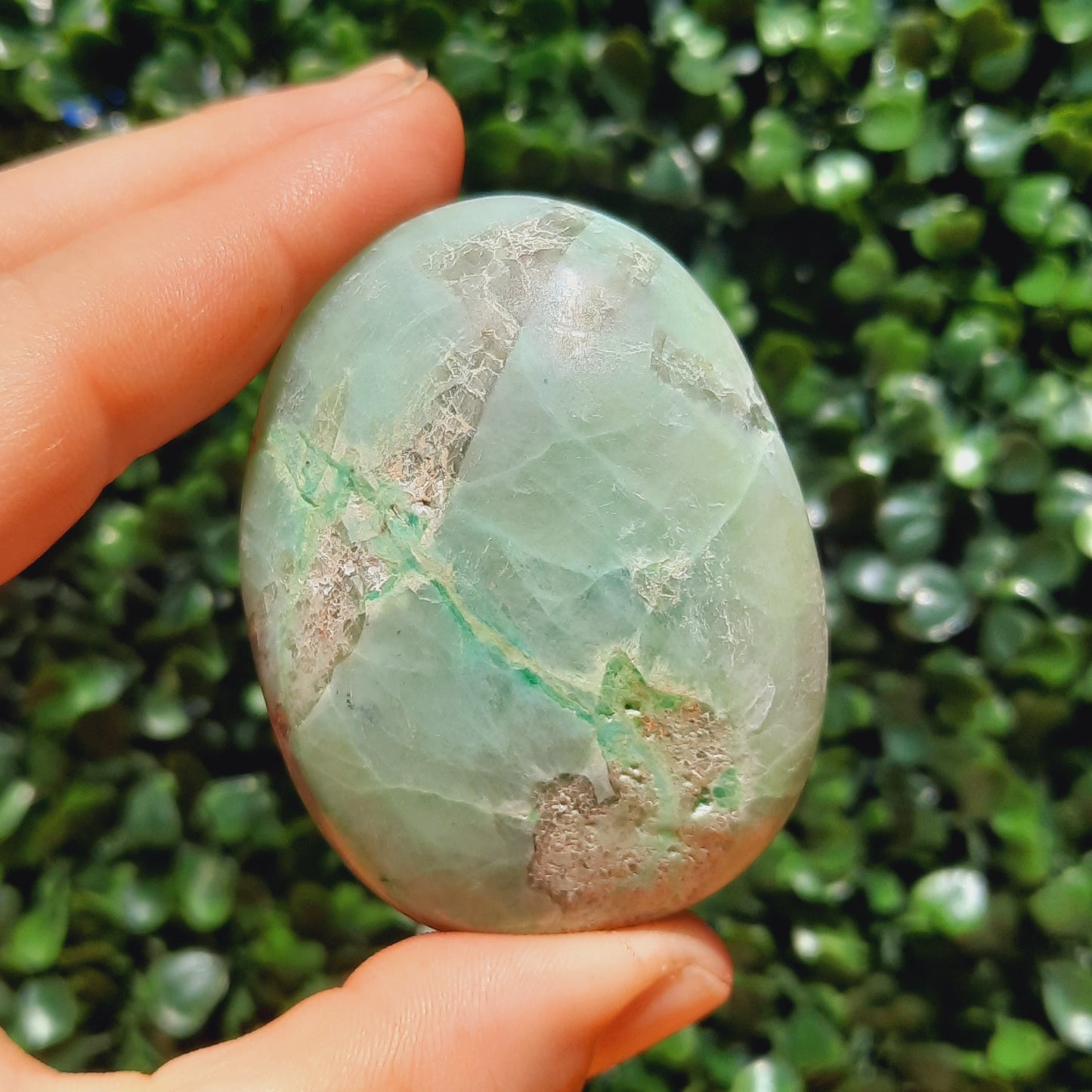 Green Moonstone Palm Stone's
