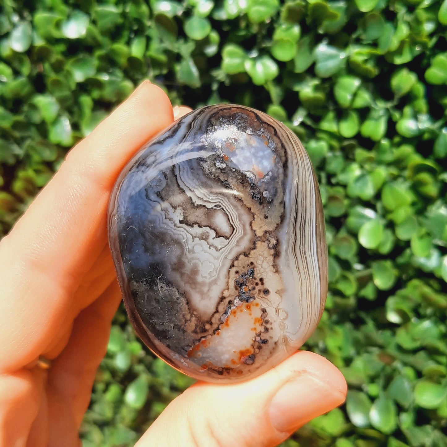 Banded Carnelian Sardonyx Palm Stone's