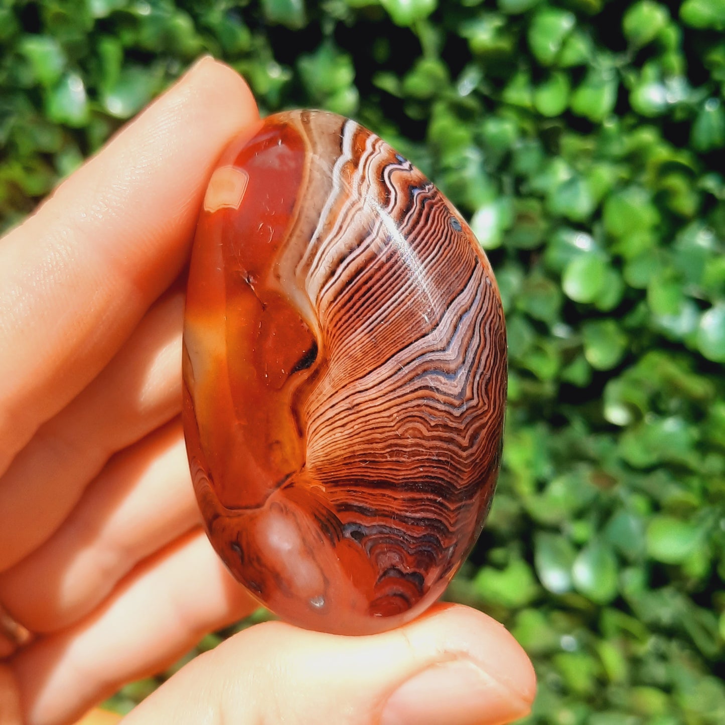 Banded Carnelian Sardonyx Palm Stone's