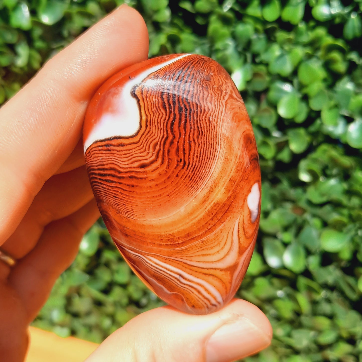 Banded Carnelian Sardonyx Palm Stone's