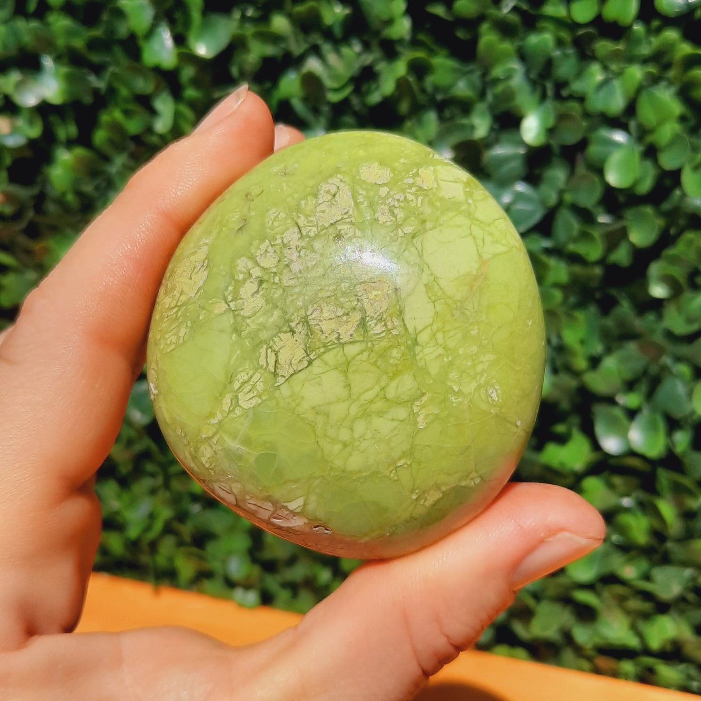 Kiwi Opal Palm Stone's