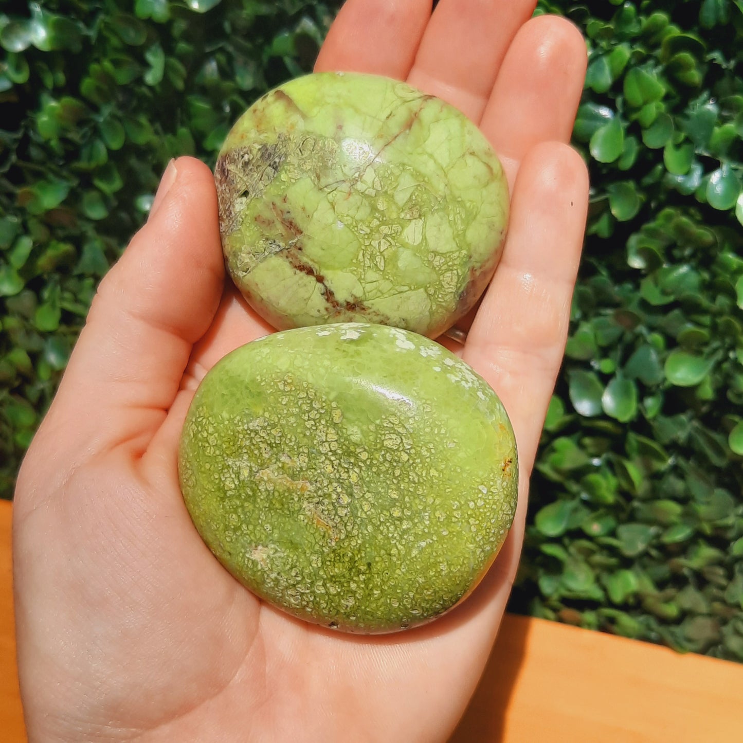 Kiwi Opal Palm Stone's