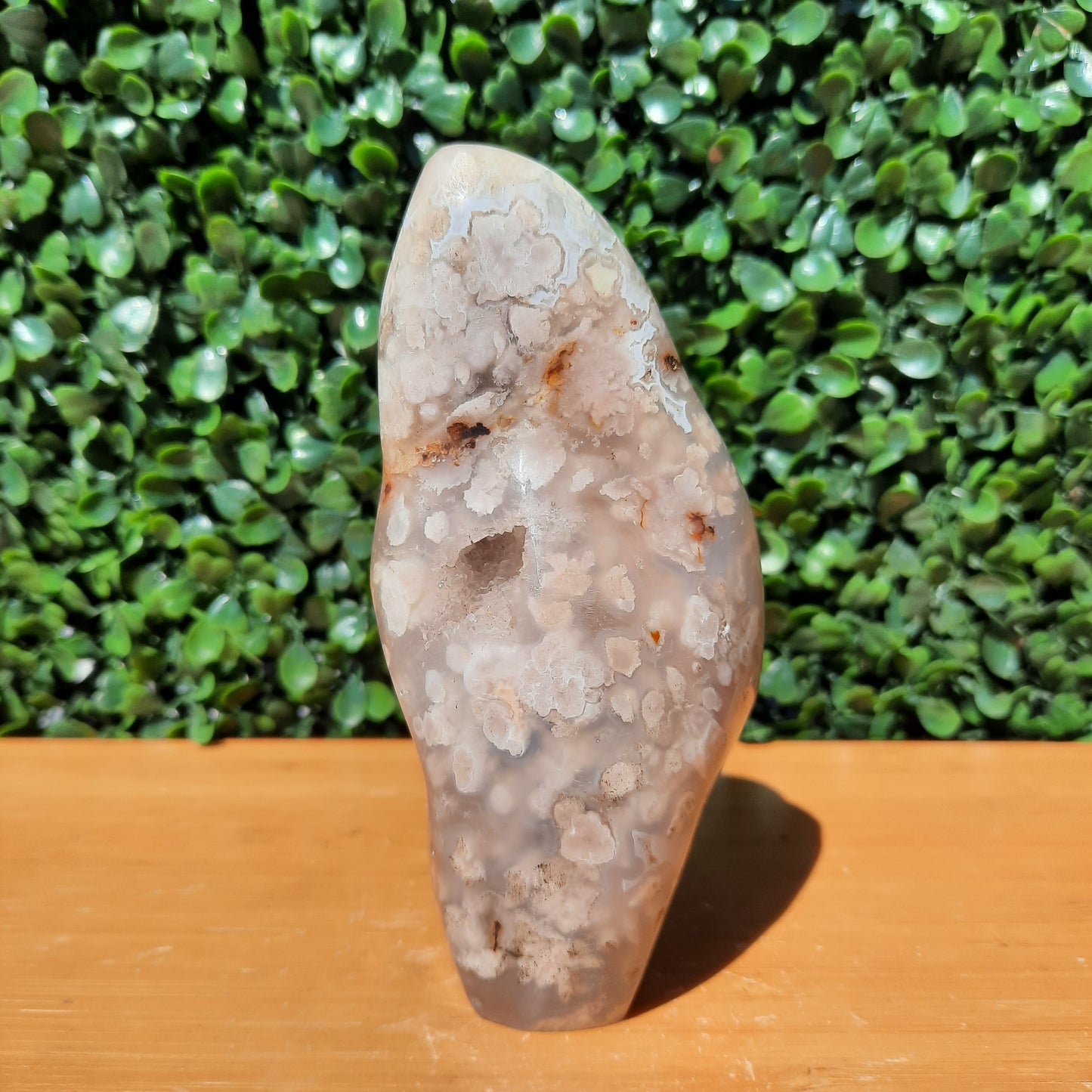 Flower Agate Free Form