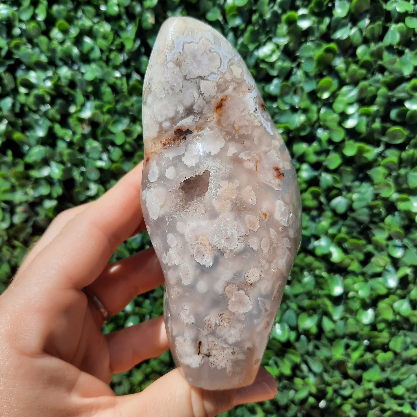 Flower Agate Free Form