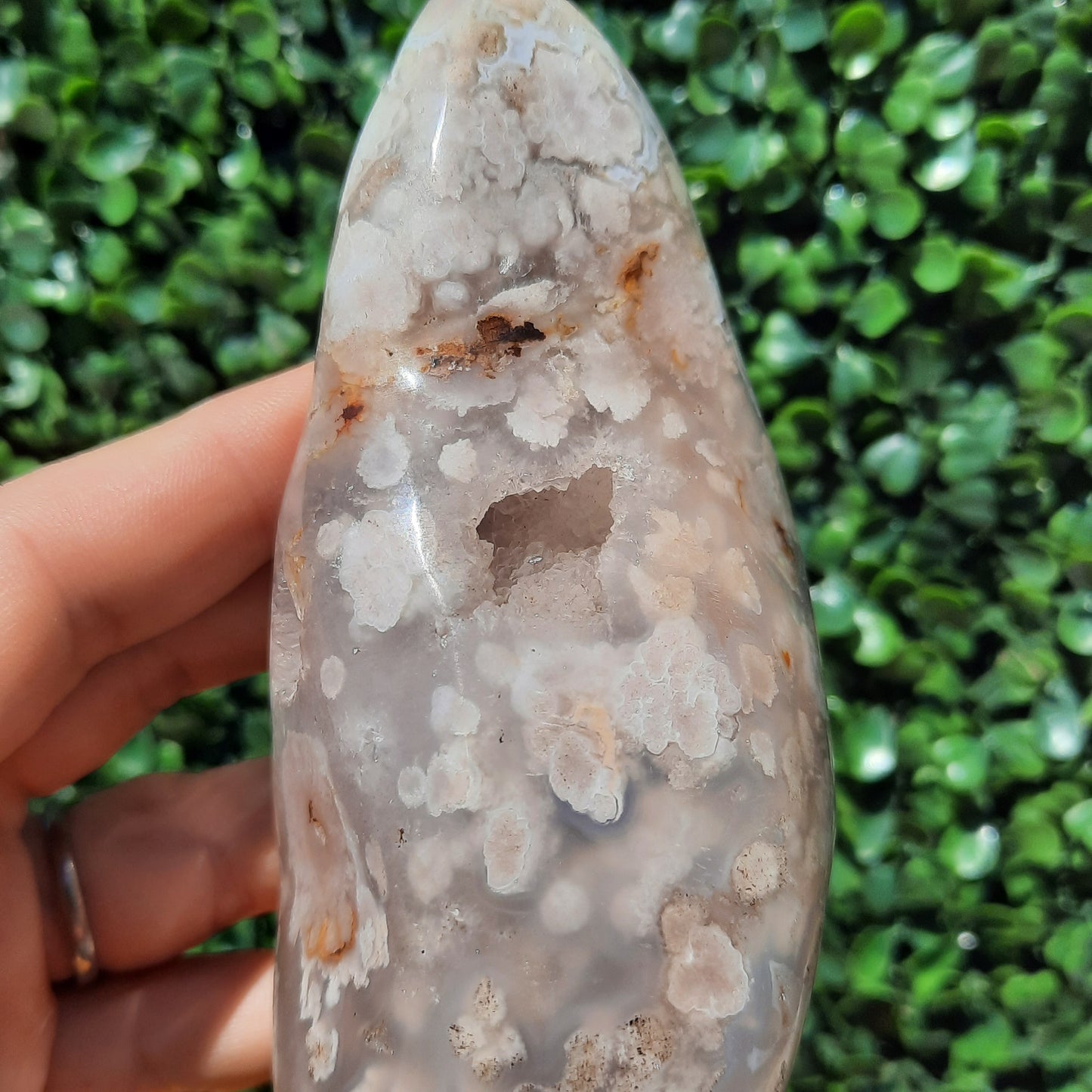 Flower Agate Free Form