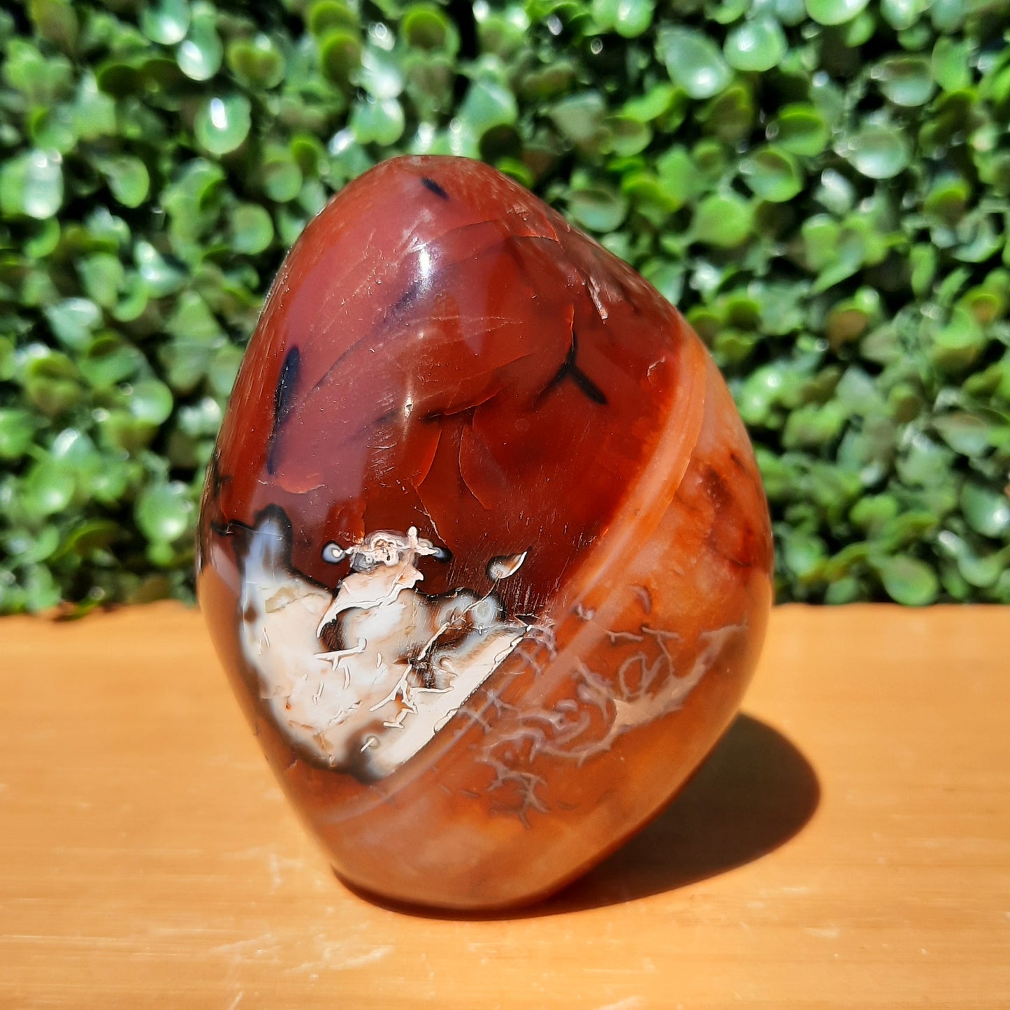 Carnelian Free Form
