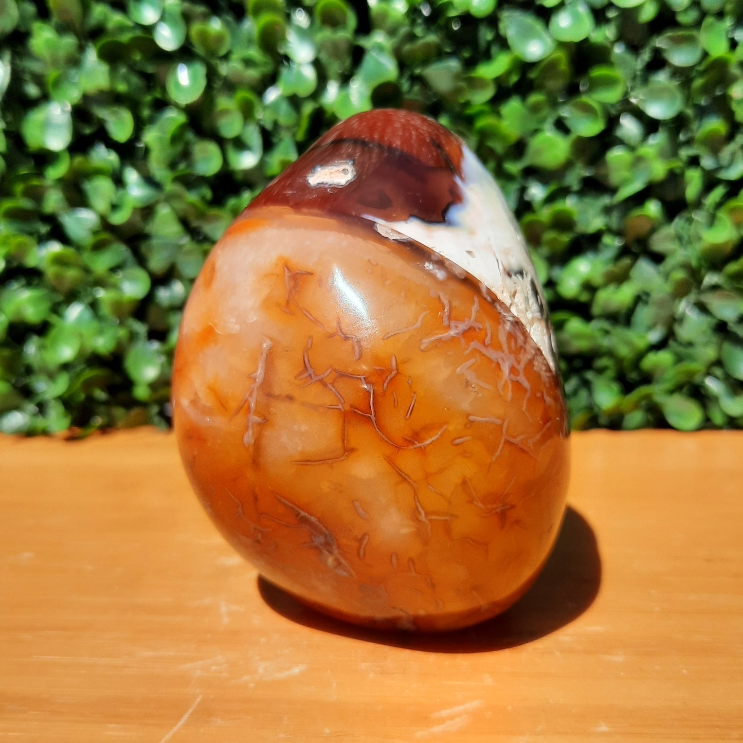 Carnelian Free Form