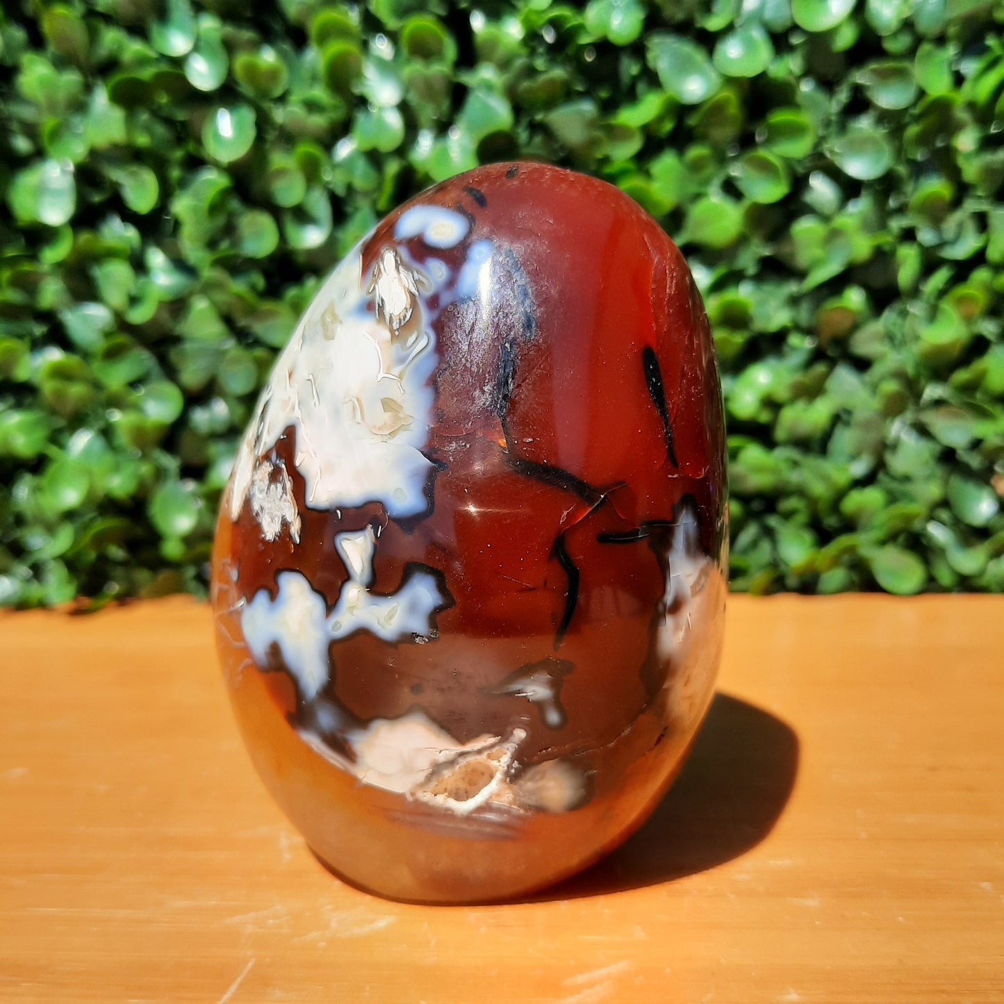 Carnelian Free Form