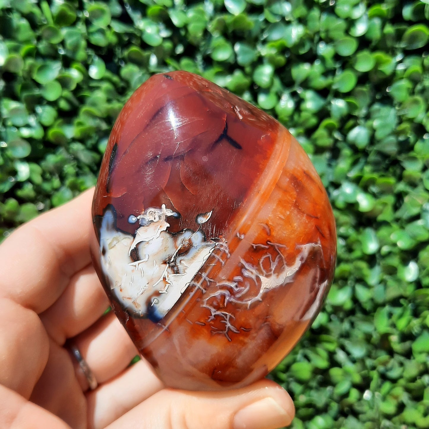 Carnelian Free Form