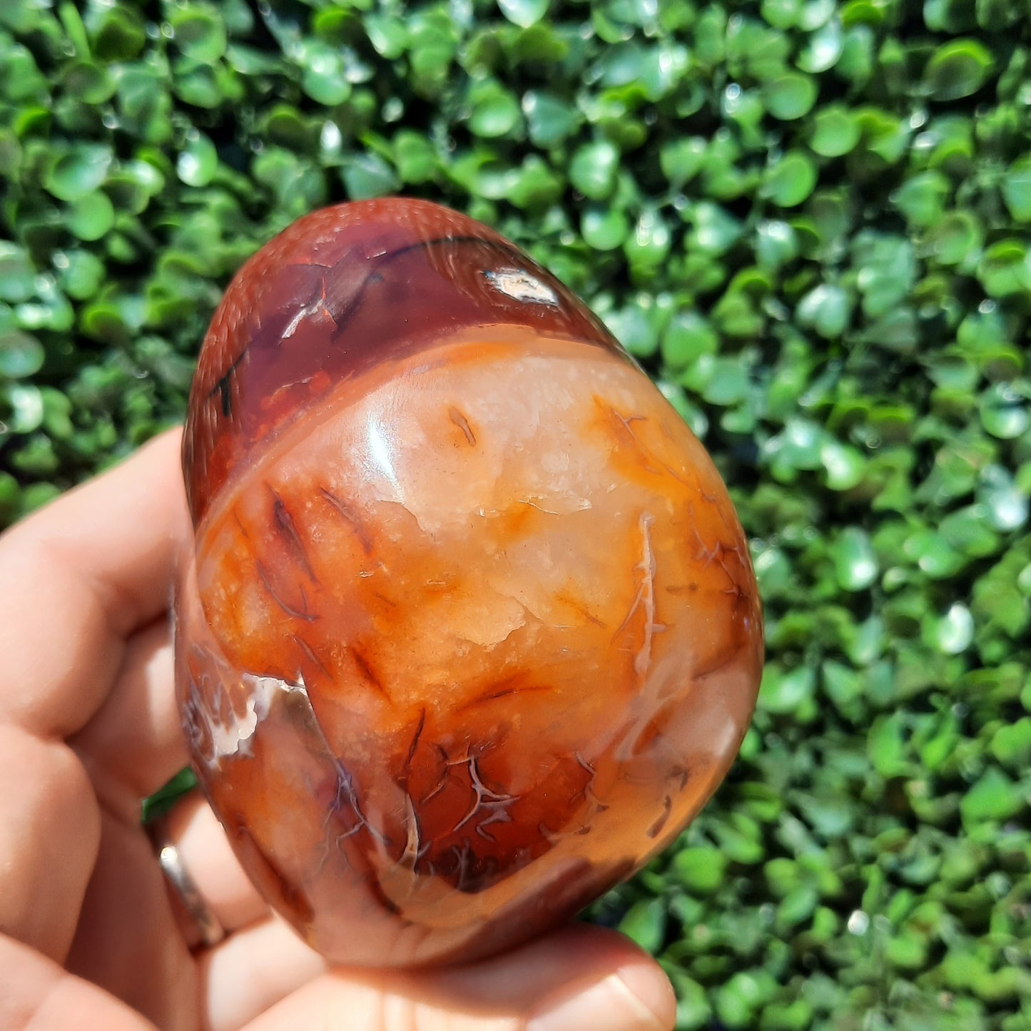 Carnelian Free Form