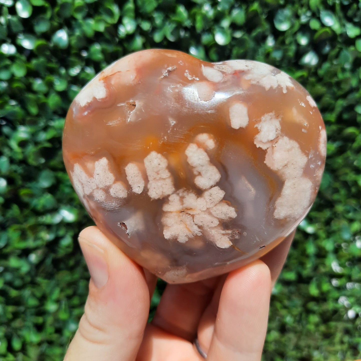 Flower Agate Heart