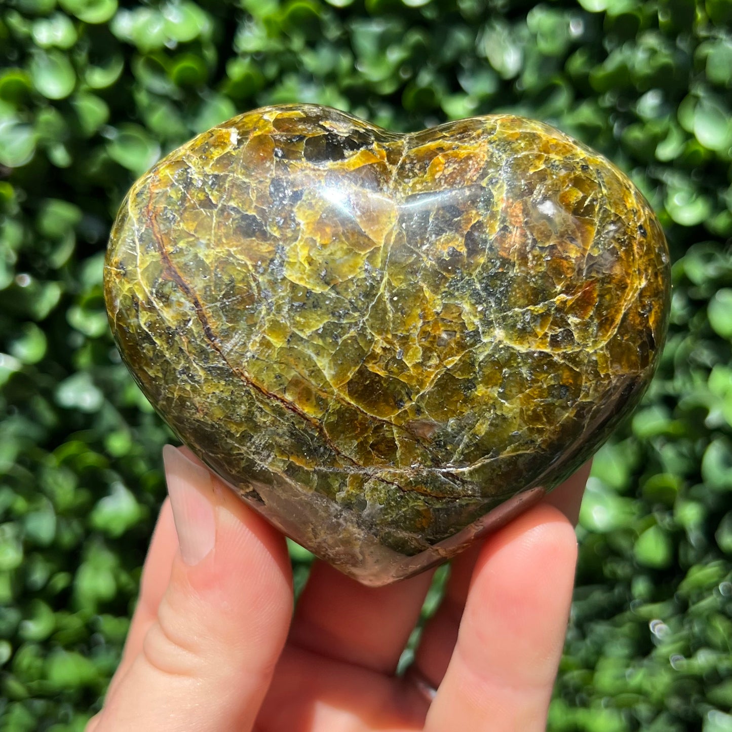 Kiwi Opal Heart