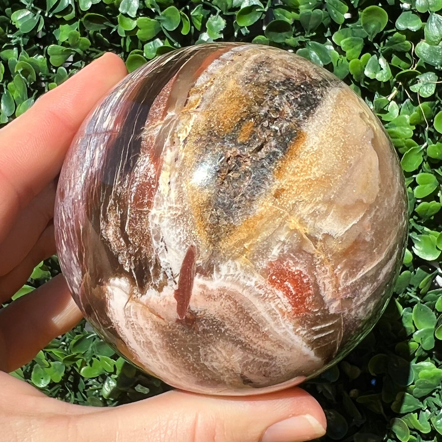 Petrified Wood Sphere