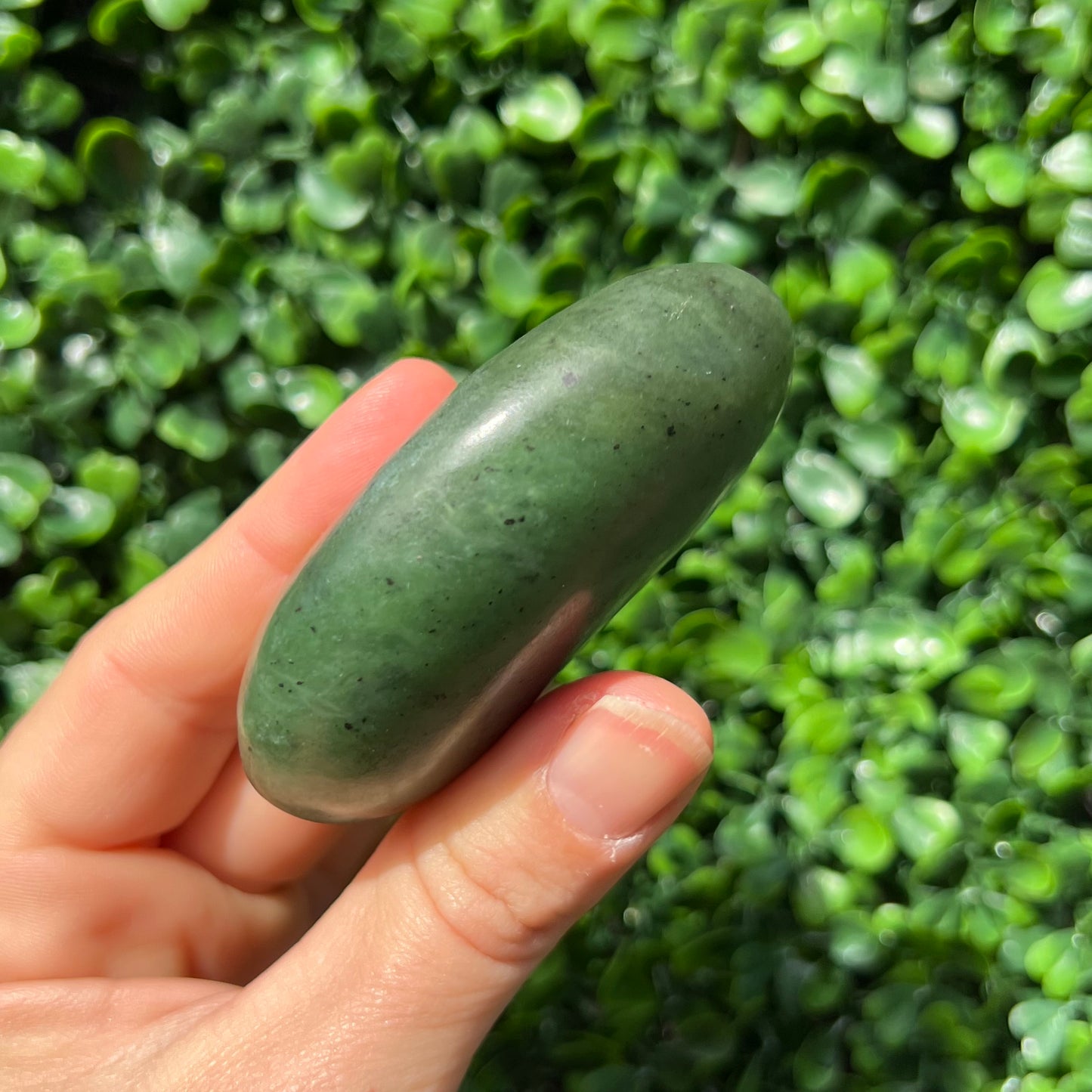 Jade Palm Stone