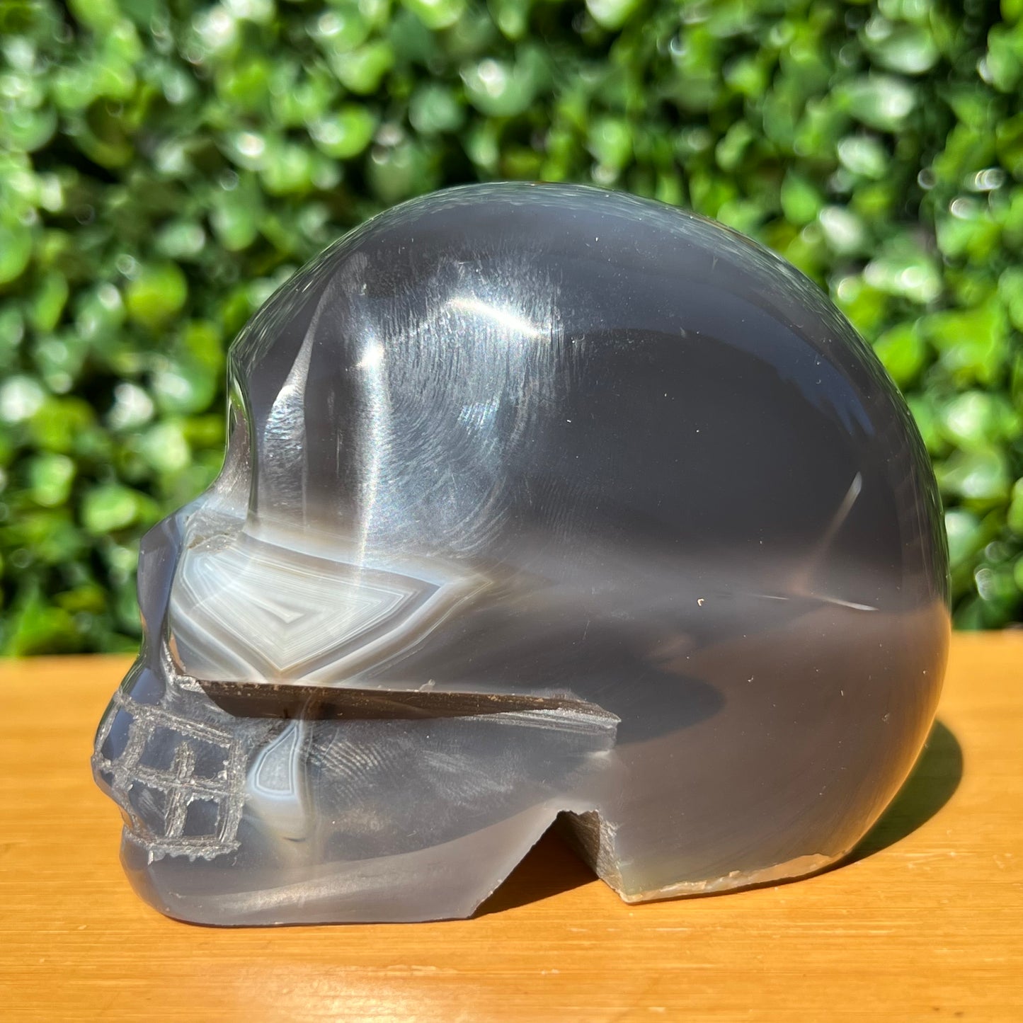 Agate Skull