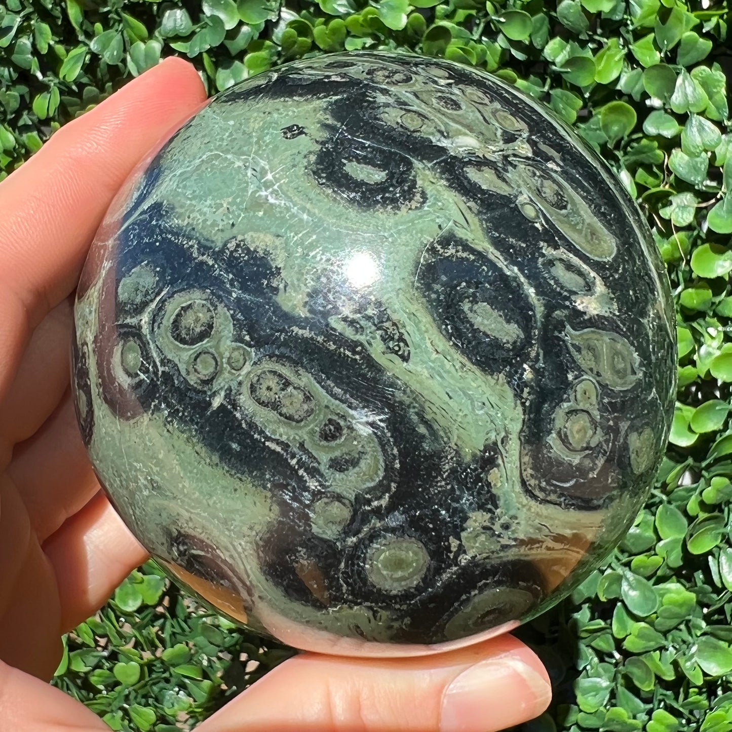 Kambaba Jasper Sphere