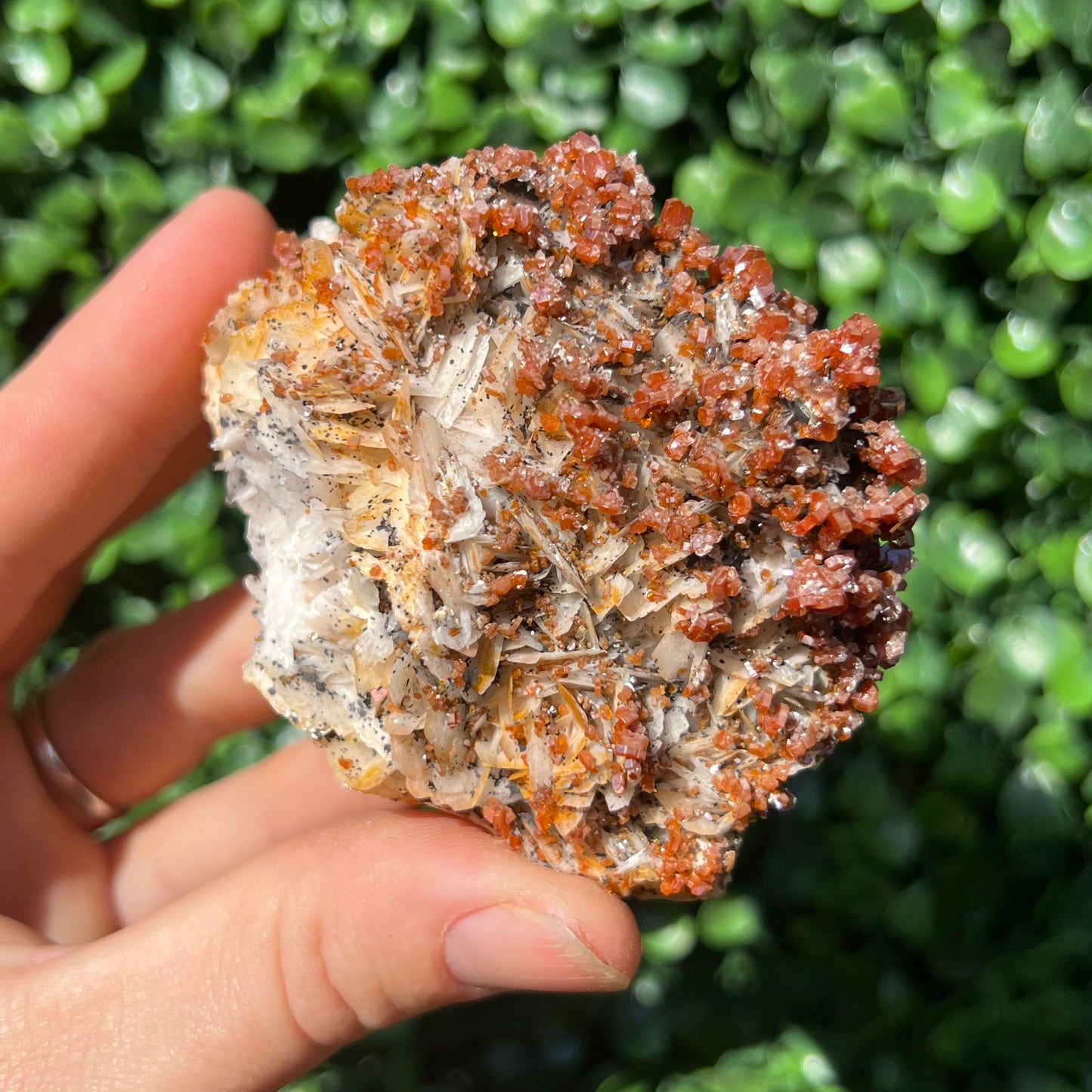 Vanadinite Specimen
