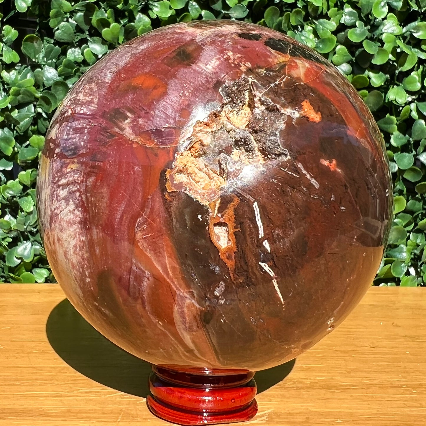 Petrified Wood Sphere