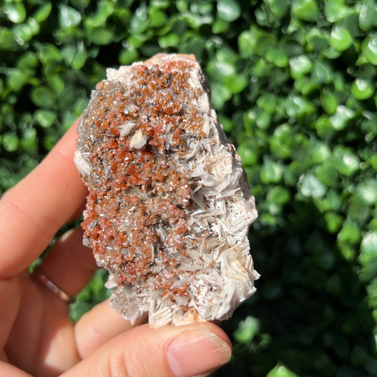 Vanadinite Specimen