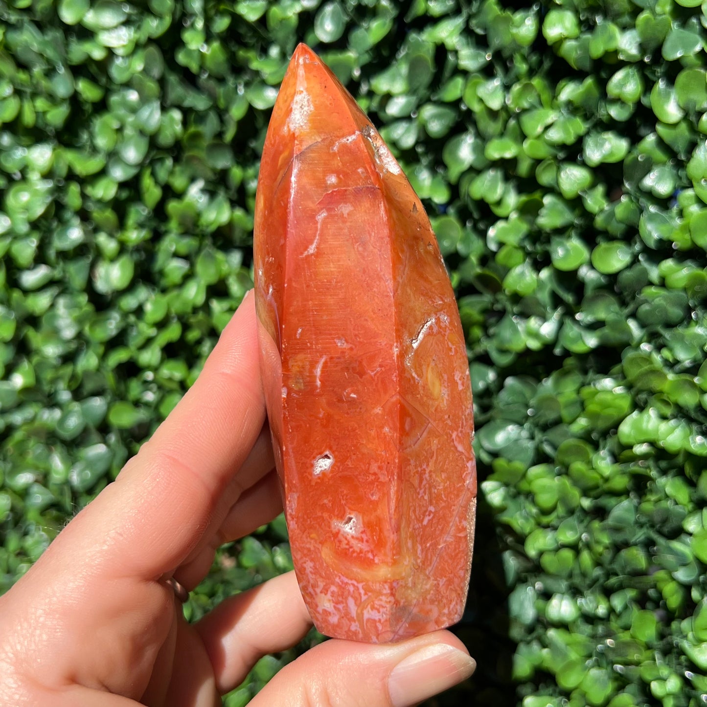 Carnelian Flame