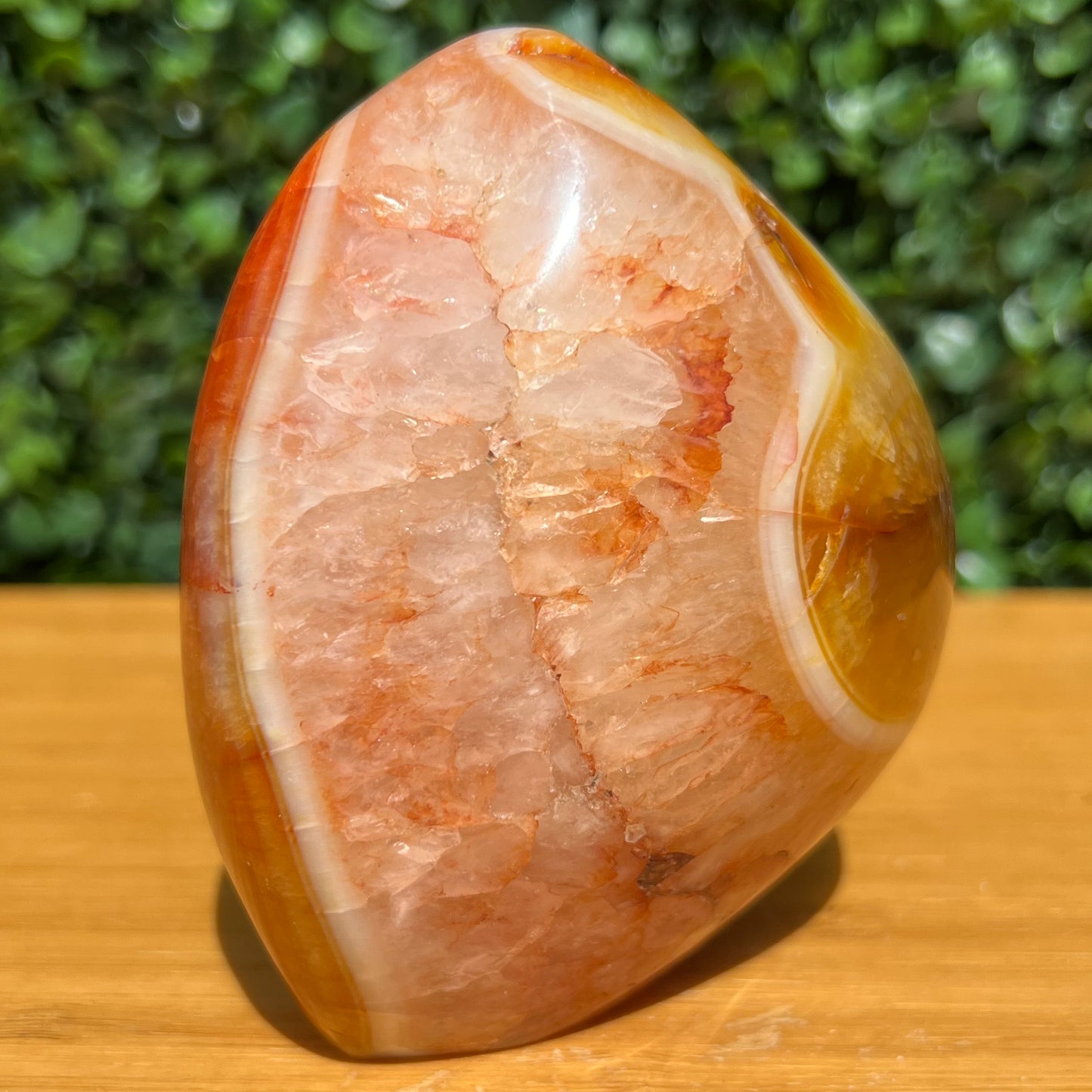 Carnelian Free Form