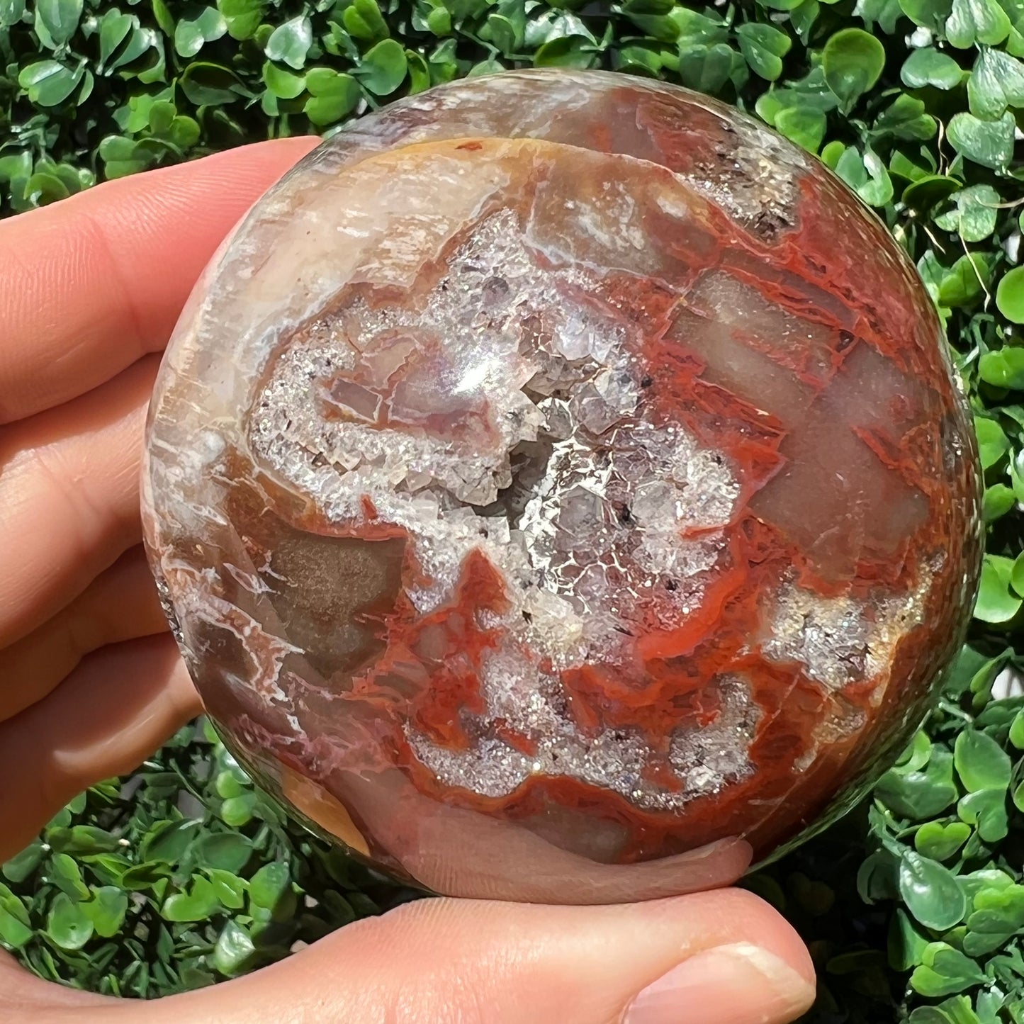 Petrified Wood Sphere