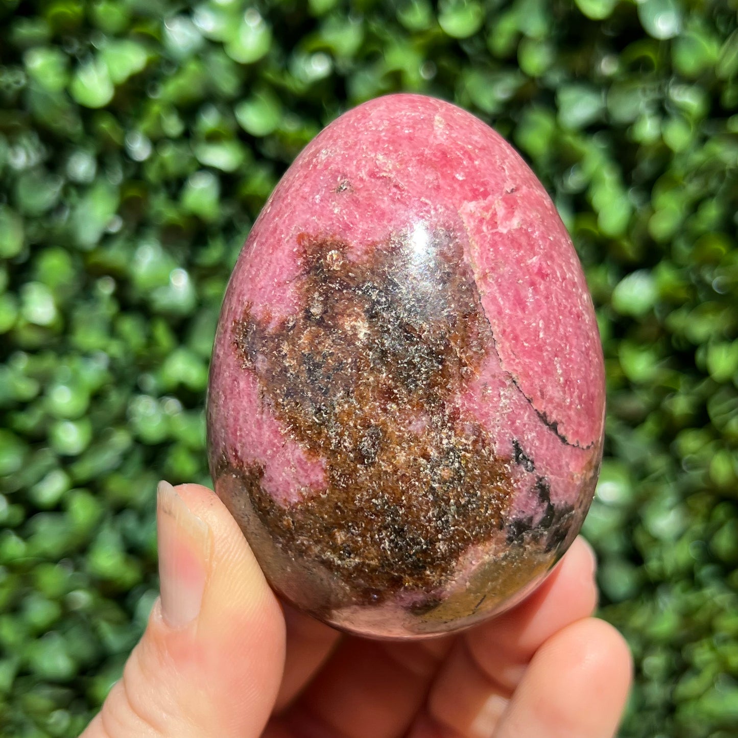 Rhodonite Egg