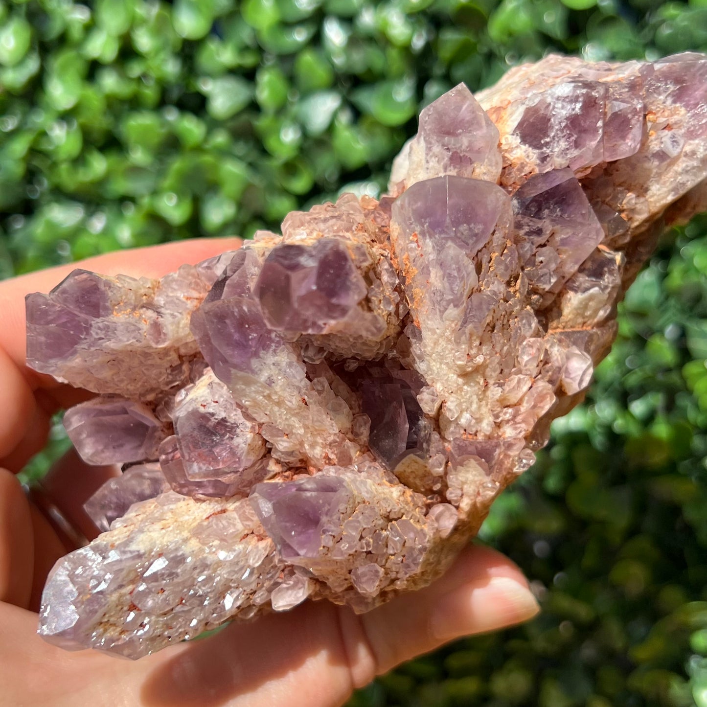 Suger Amethyst Cluster