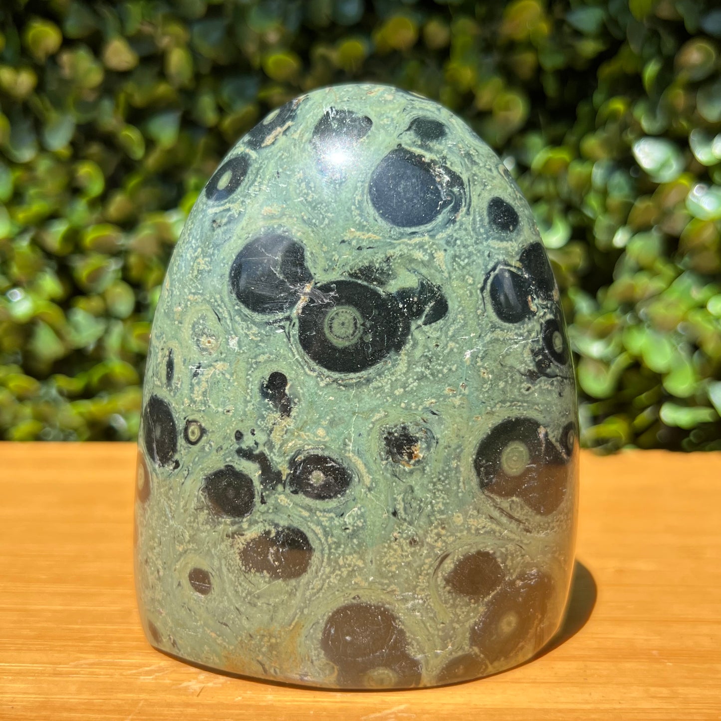 Kambaba Jasper Free Form