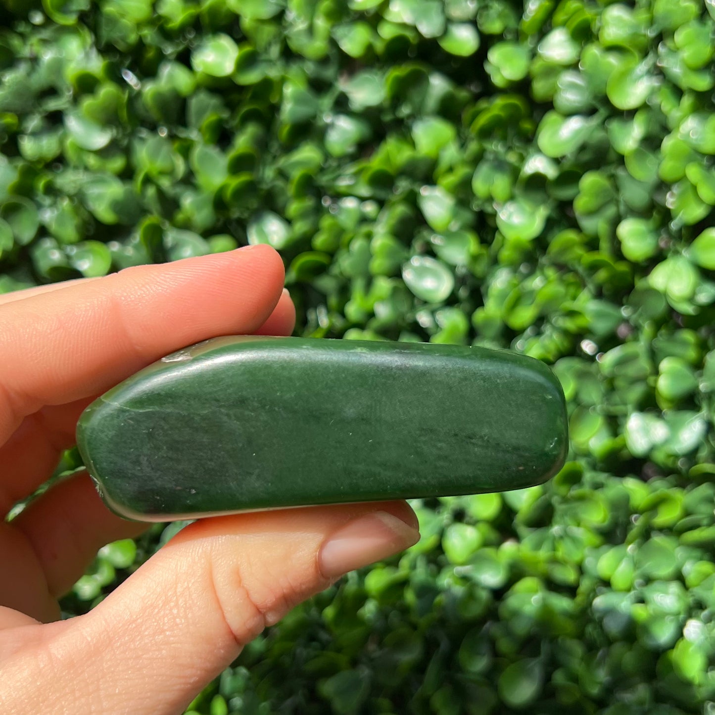Jade Palm Stone