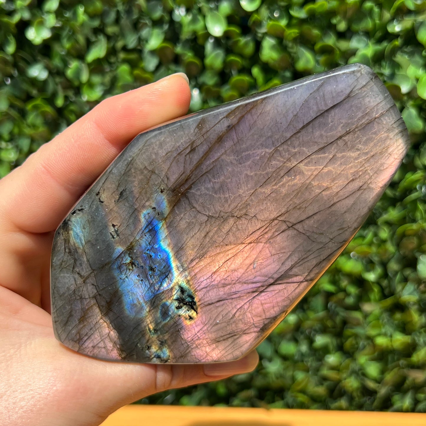Labradorite Free Form