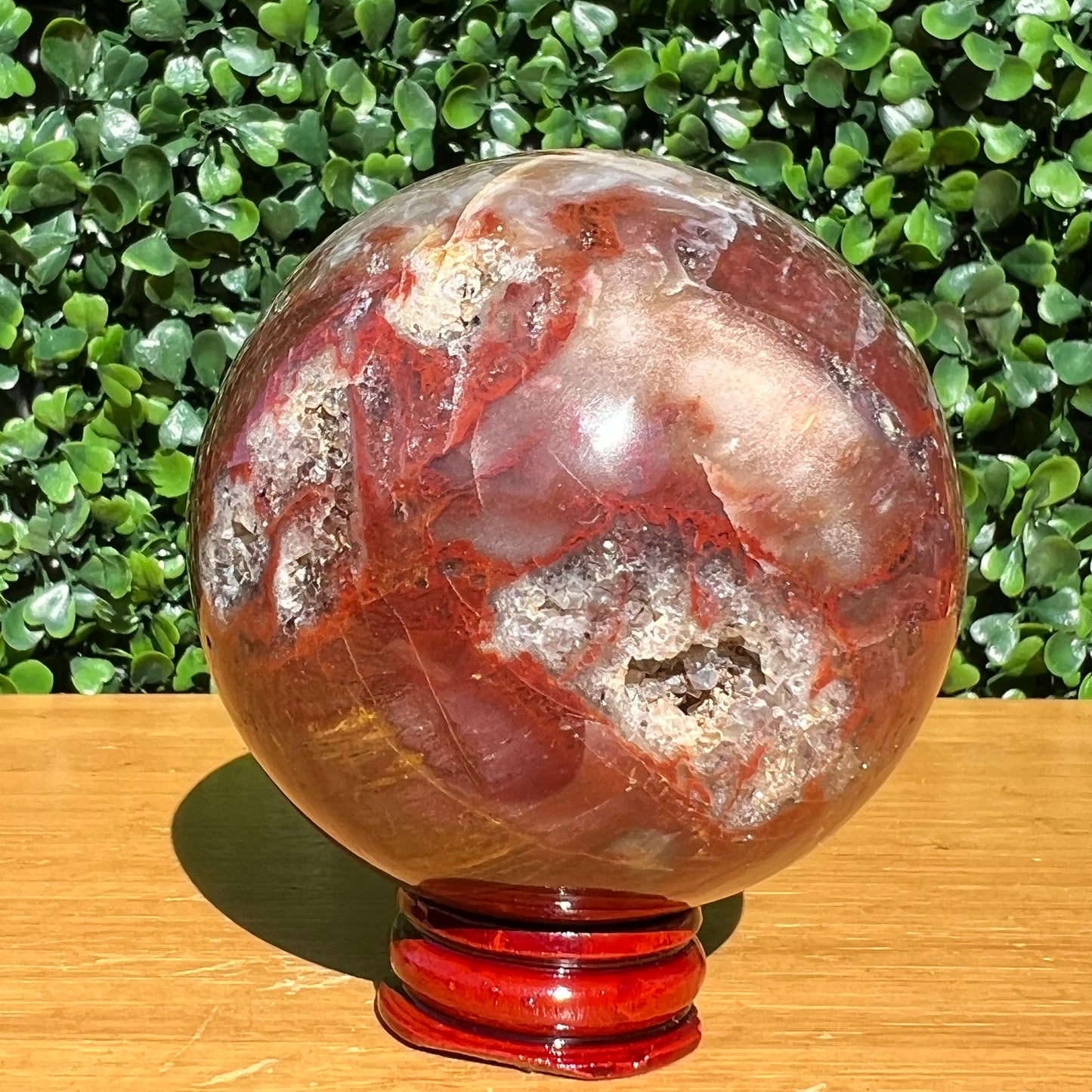 Petrified Wood Sphere