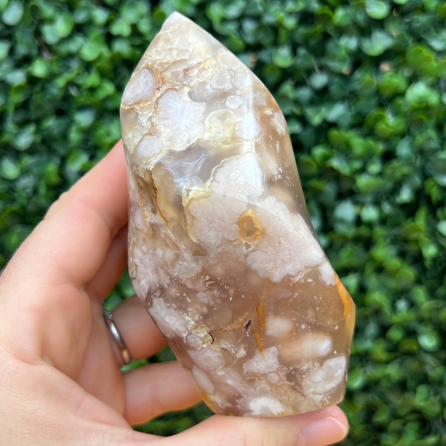 Flower Agate Flame