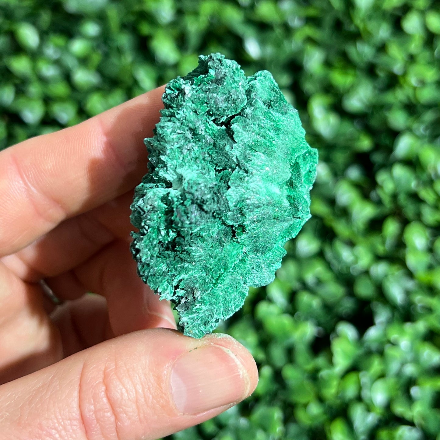 Fibrous Malachite Specimen