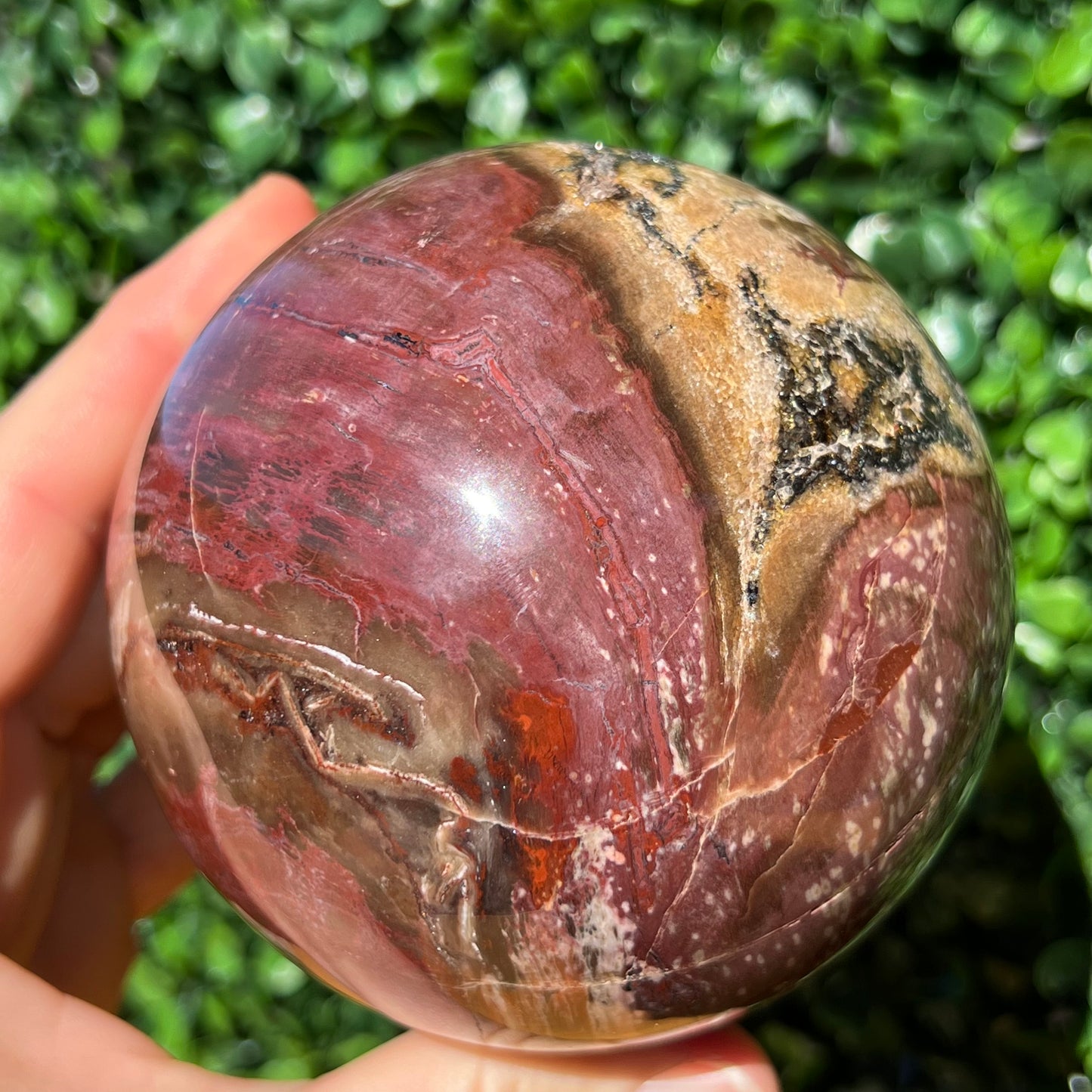 Petrified Wood Sphere