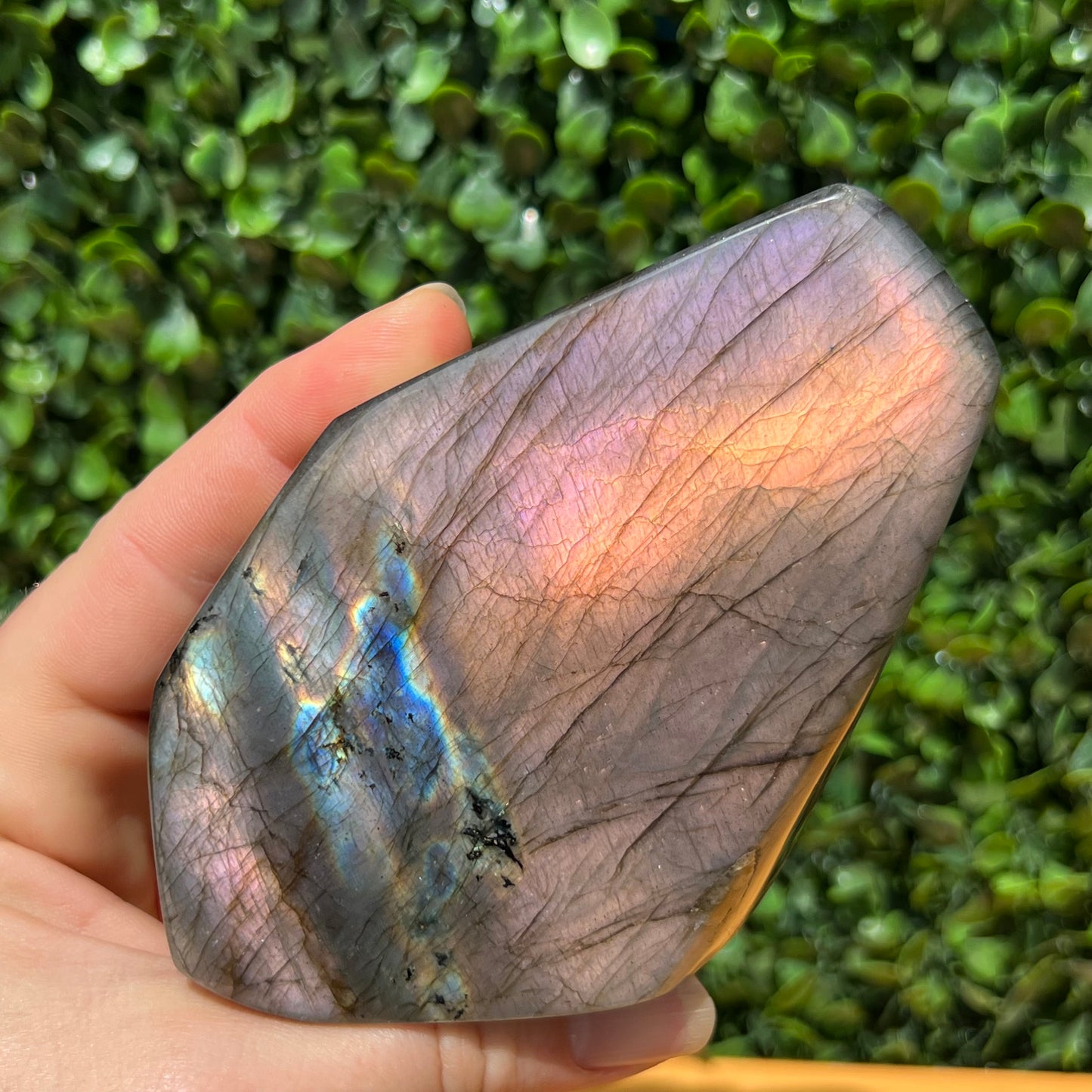 Labradorite Free Form