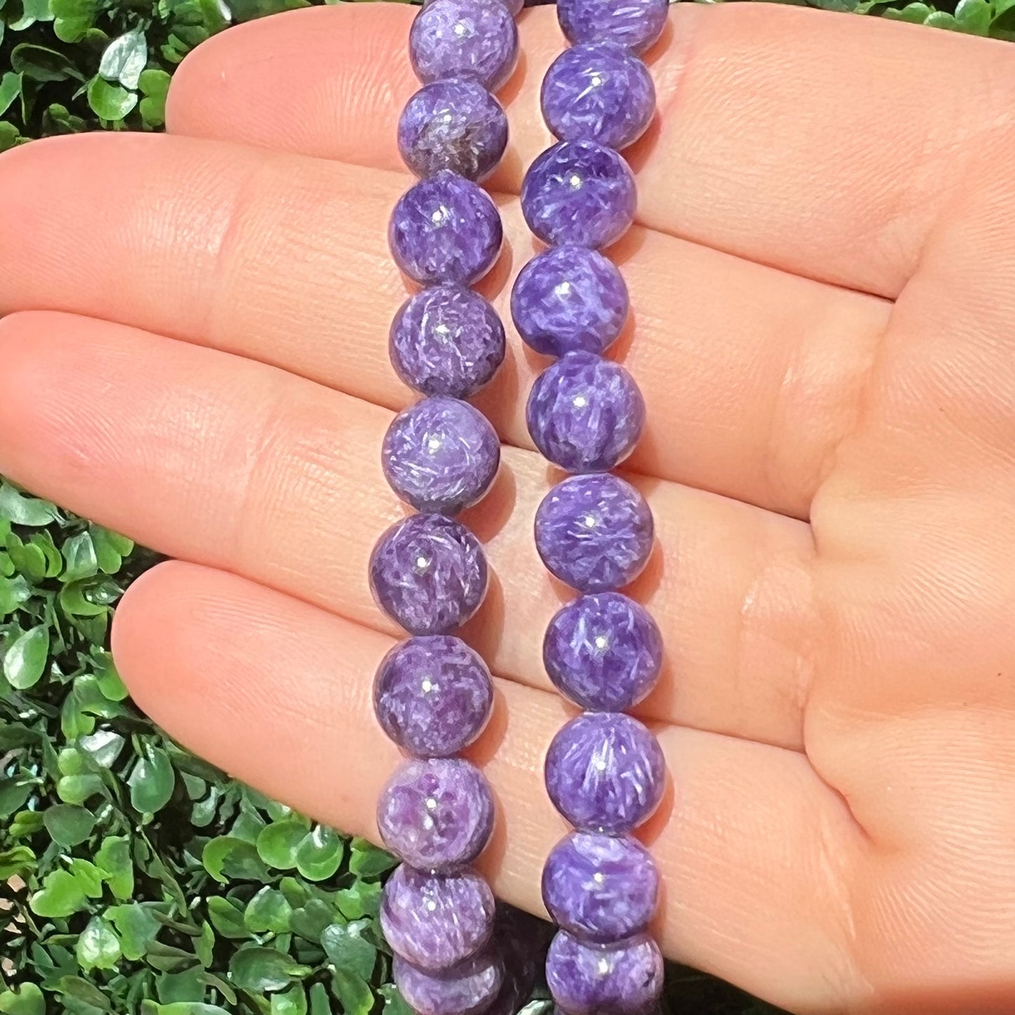 Charoite Bracelet 8mm