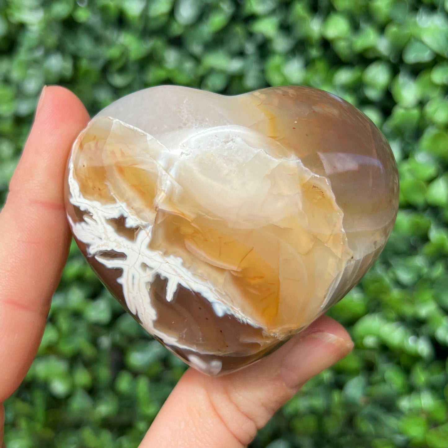 Orca Agate Heart