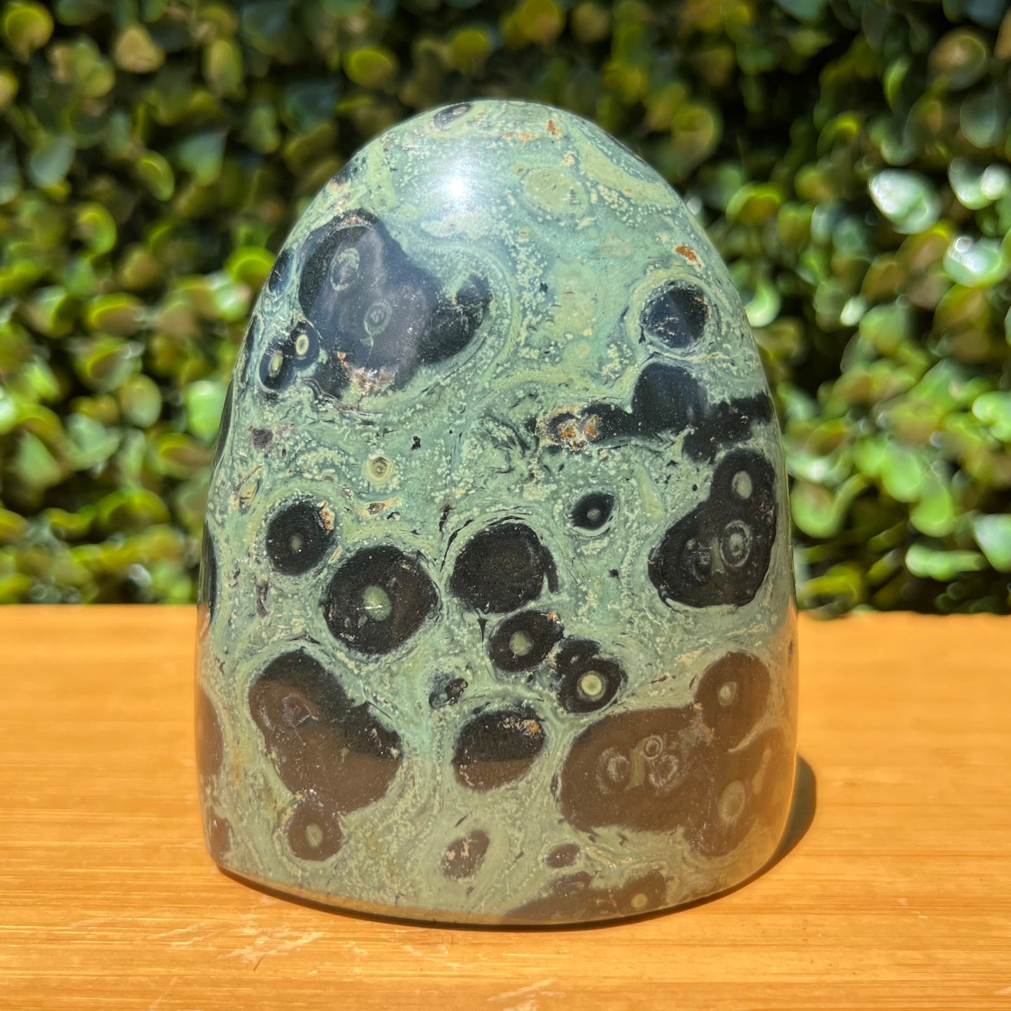 Kambaba Jasper Free Form