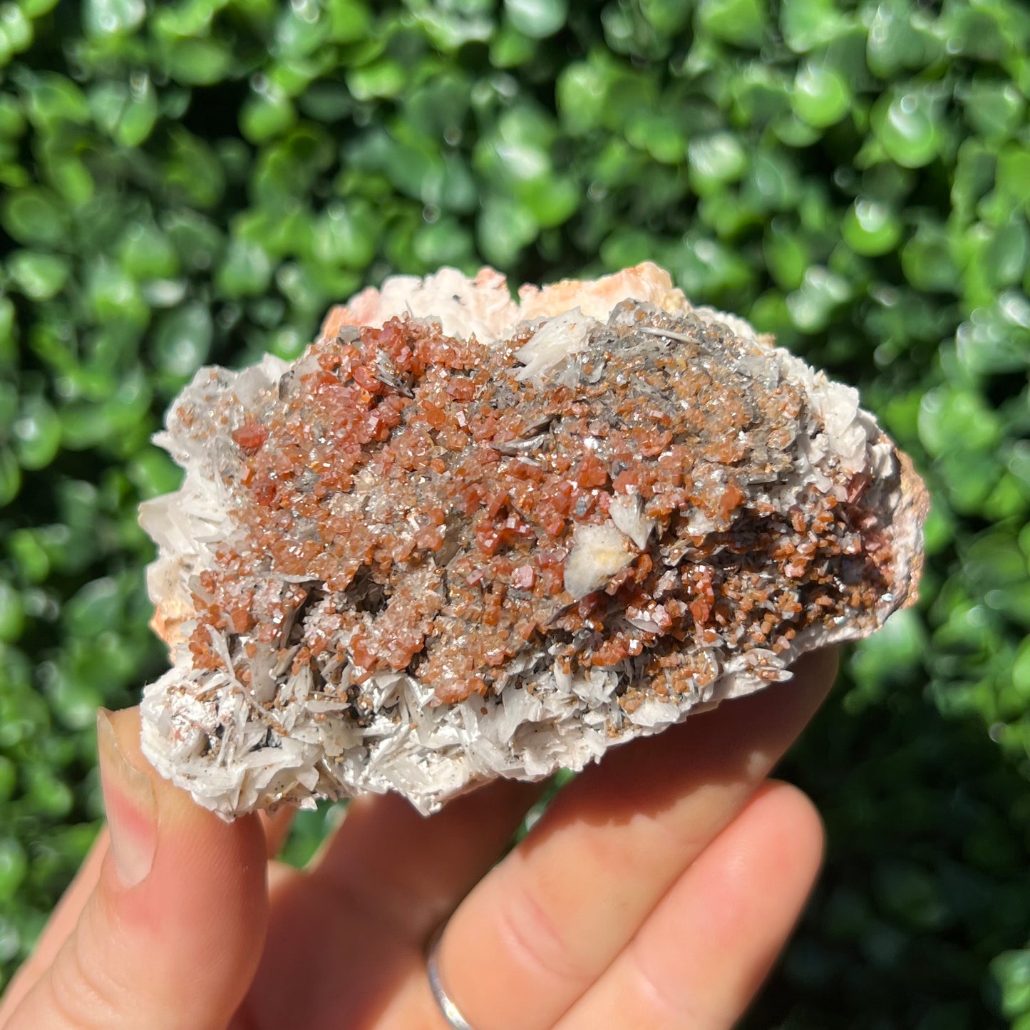 Vanadinite Specimen