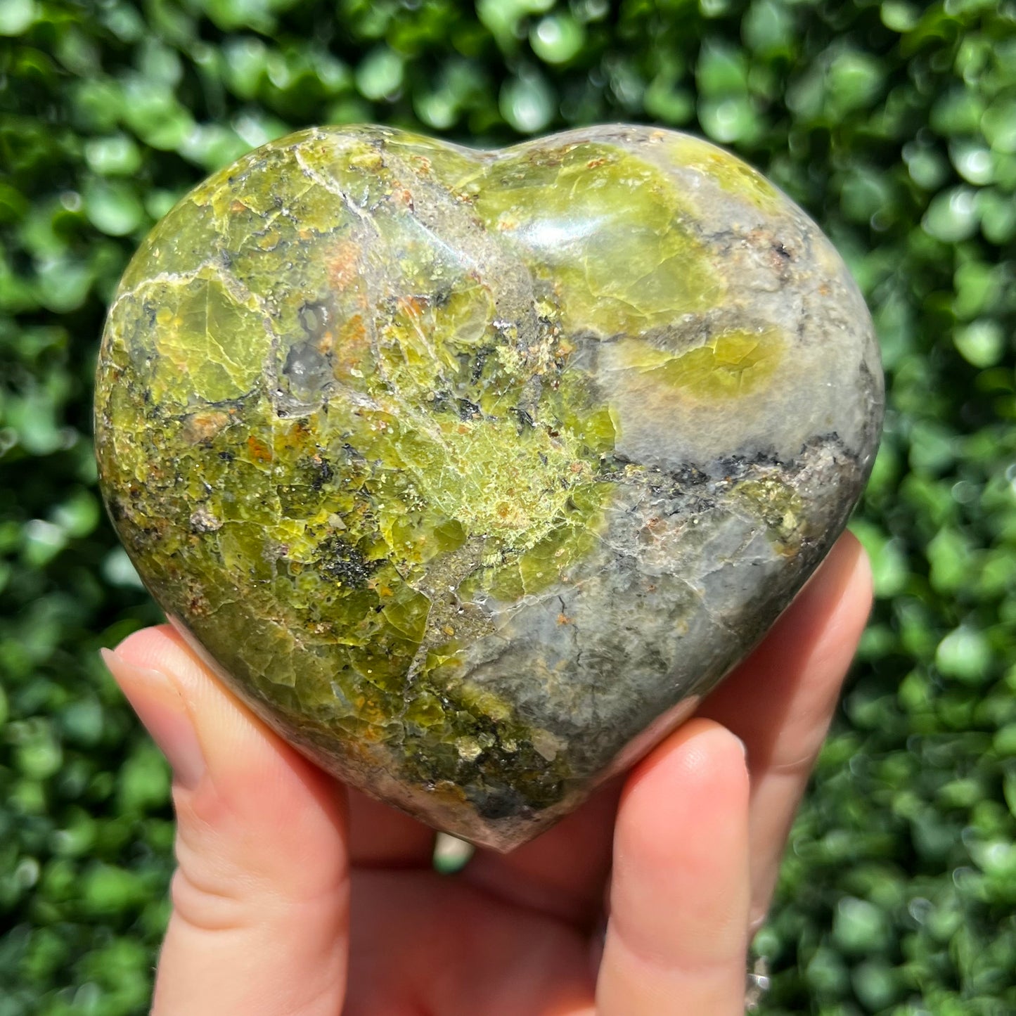 Kiwi Opal Heart