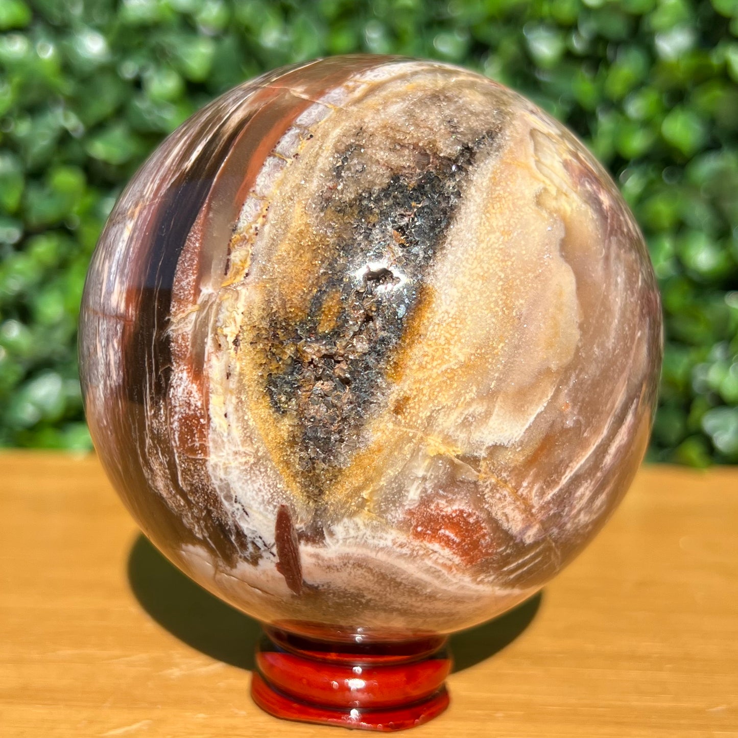 Petrified Wood Sphere