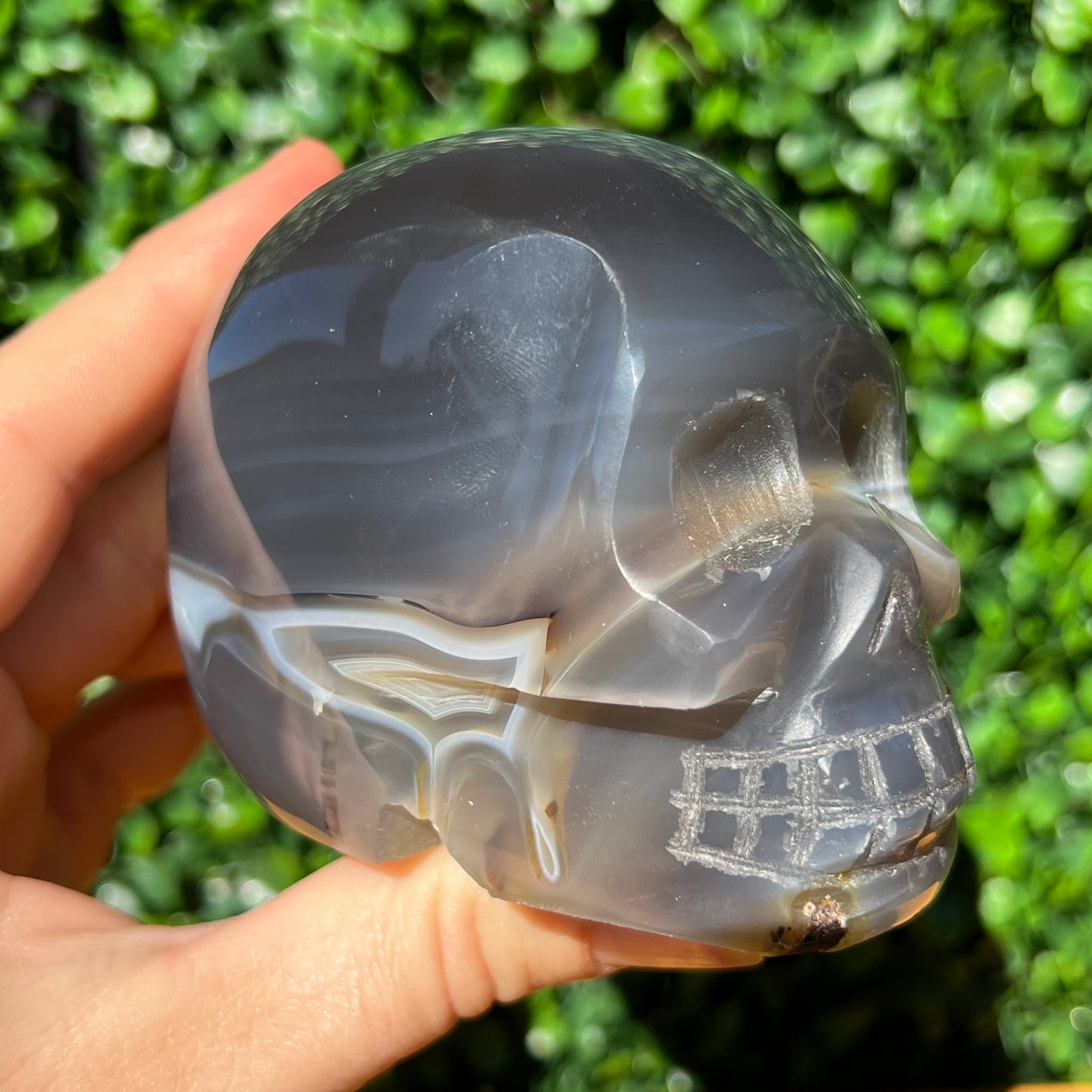 Agate Skull
