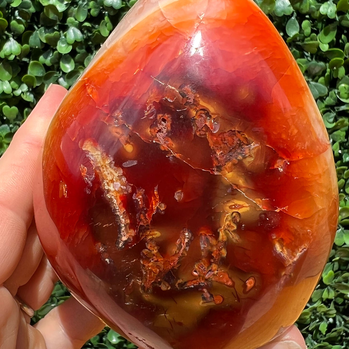 Carnelian Free Form