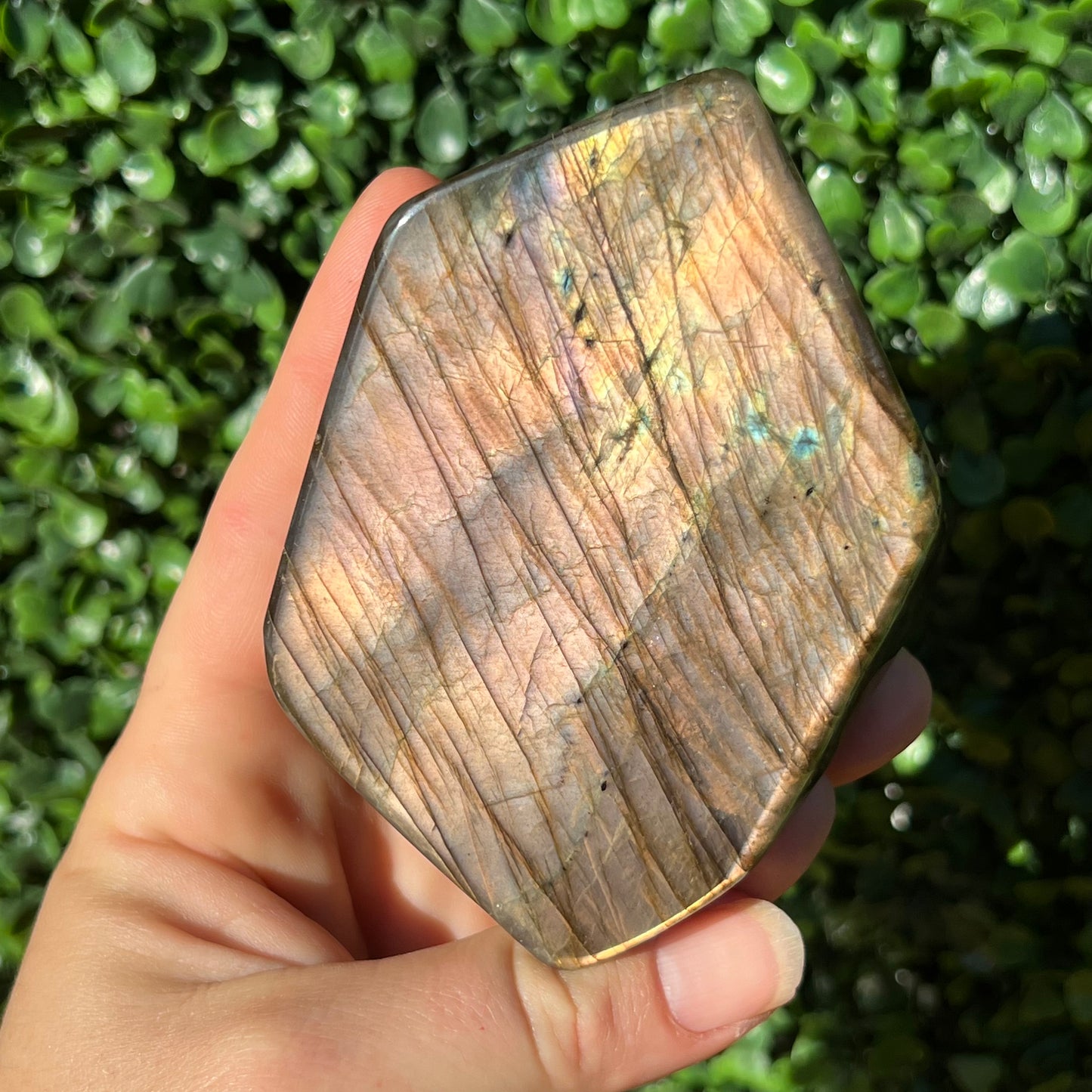 Labradorite Free Form